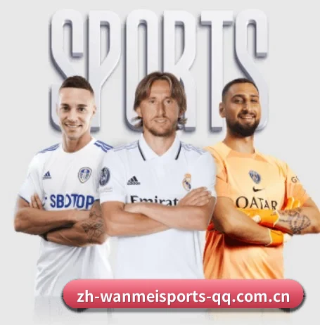 完美体育 APP - WANMEI SPORTS