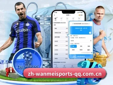 完美体育 APP | WANMEI SPORTS